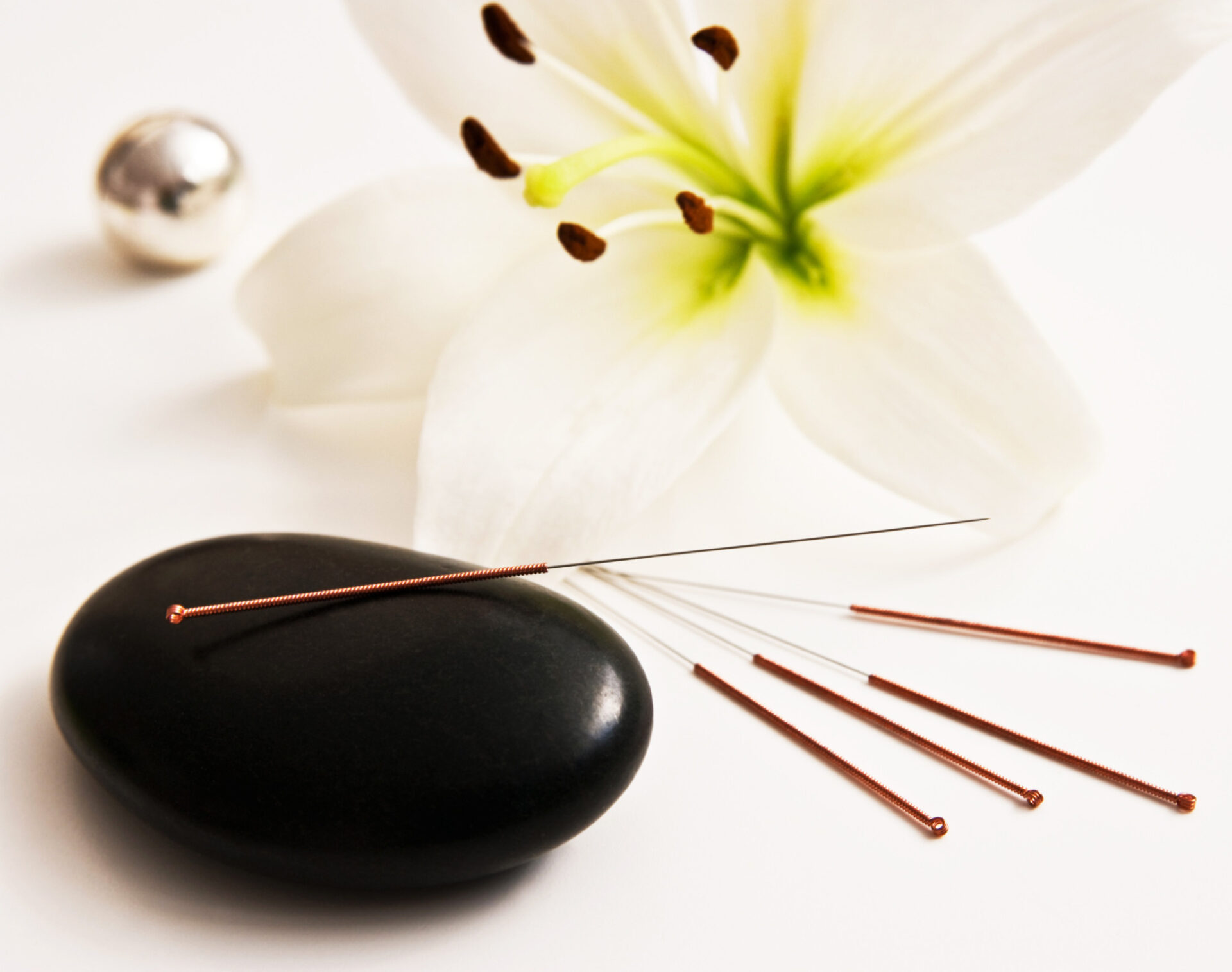 Free Acupuncture Workshop